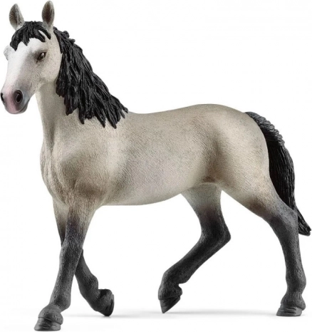 Figura della cavalla Cheval De Selle Français