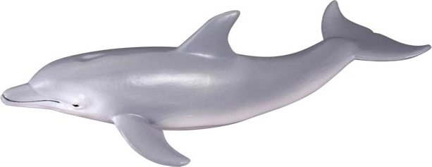 Dolphin