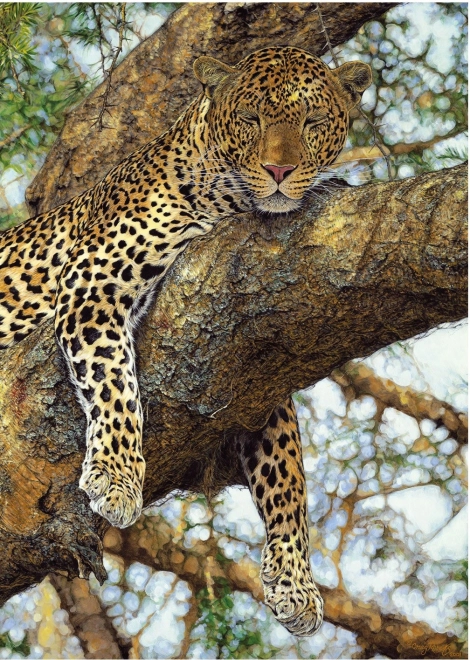 Leopard Puzzle 1000 Pieces