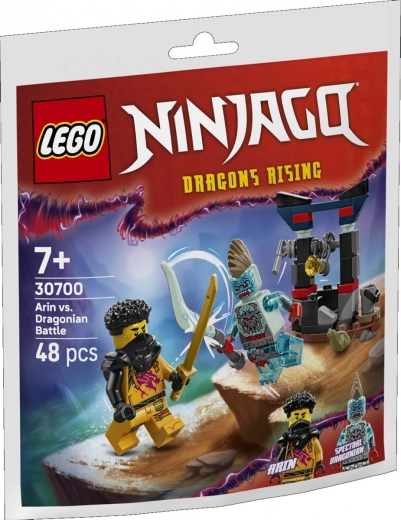 NINJAGO Blocks Arin’s Battle with the Dragon