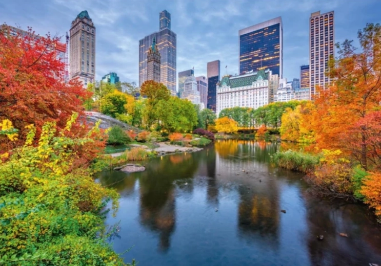 Puzzle Central Park 500 pieces