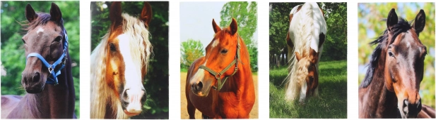 Horse Motif Notebook MINI 40sheets, 6x8.5 cm