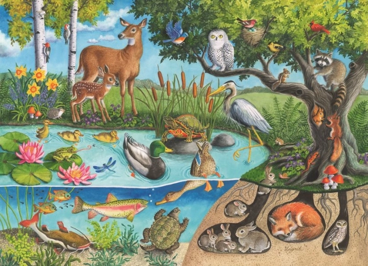 Puzzel dieren op en onder de grond – natuurgeheimen 60 stukjes