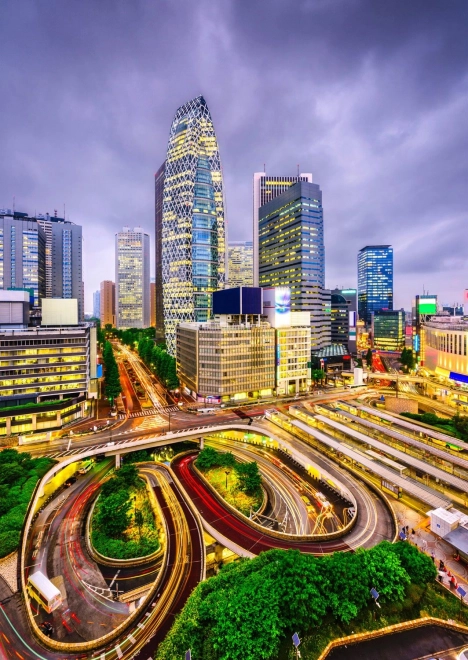 Puzzle Nishi-Shinjuku District, Tokyo 1000 pieces