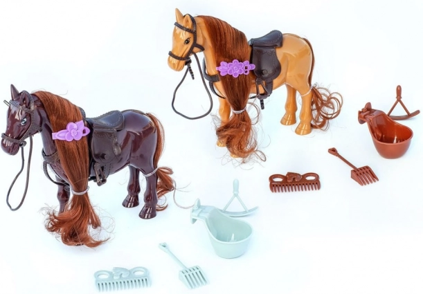 Pony con accessori per pettinare e decorare la criniera