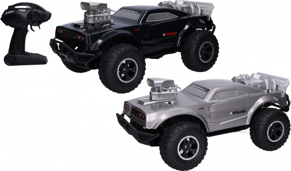 Auto RC a distanza 48 cm