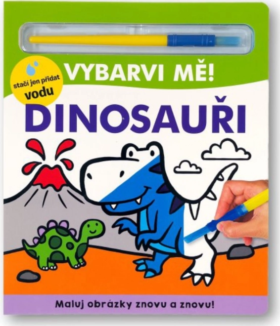 Color Me! Dinosaurs - Water Painting Book