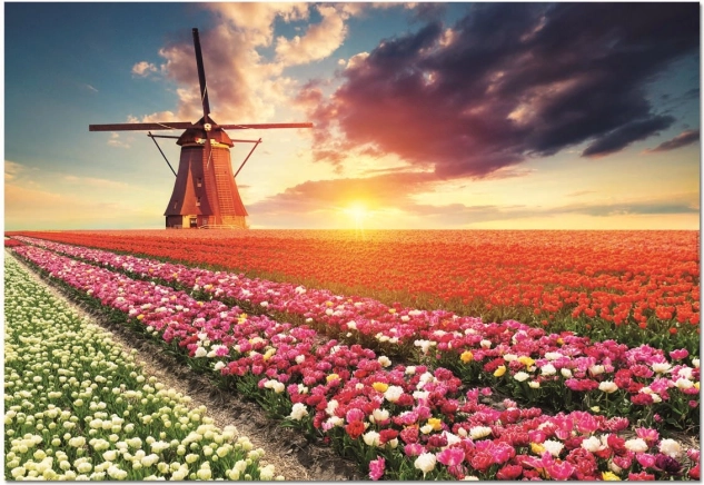 Puzzel Land van tulpen 1500 stukjes van EDUCA