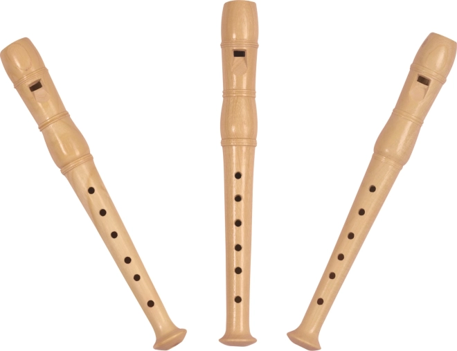 Flûte en bois pour enfants 20 cm Goki