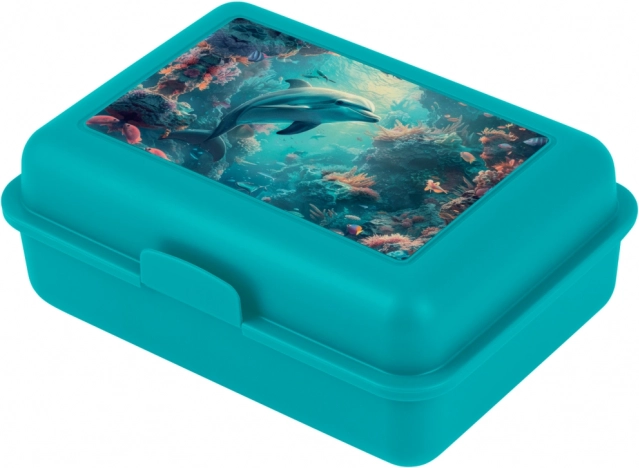 Dolphin Lunch Box