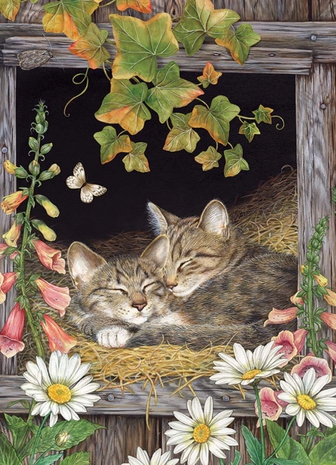Puzzle Sorelle 500 pezzi di Cobble Hill