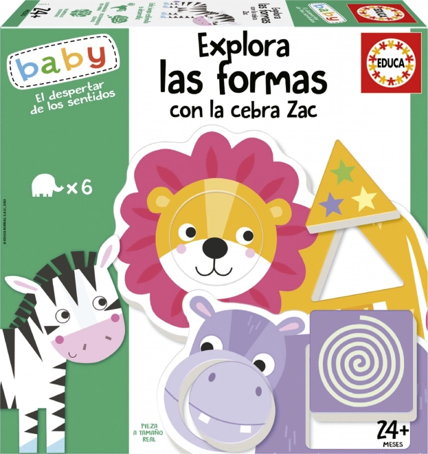Jeu d'insertion Explore les Formes avec Zèbre Zak