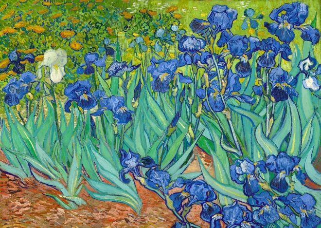 Goditi il Puzzle Vincent Van Gogh: Iris 1000 pezzi