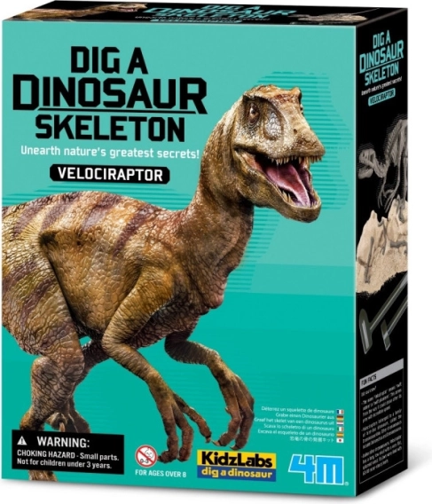Ausgrabungsset - Velociraptor