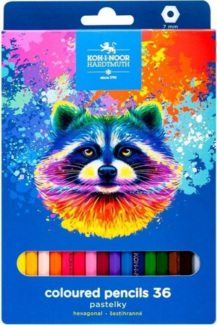 Hexagonal Pencils Raccoon 36 pcs