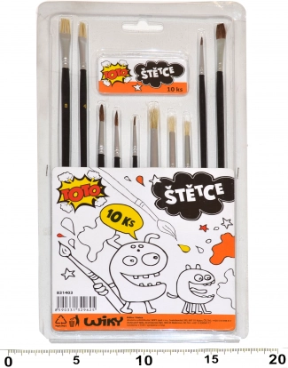 Set de pinceaux pour peinture - 10 pcs