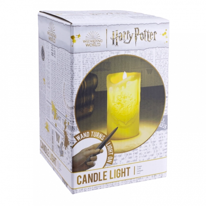 Harry Potter Wand Torch