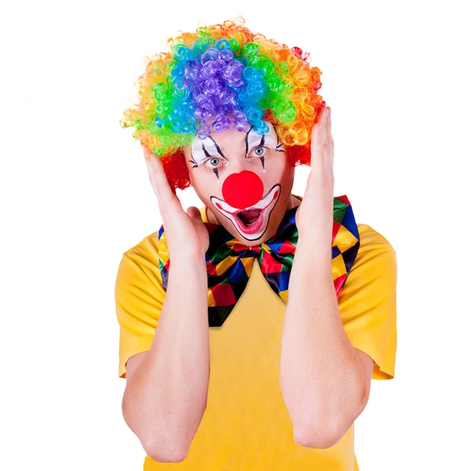 Colorful Clown Wig for Adults