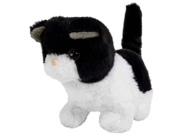 Interactive Walking Black and White Toy Cat