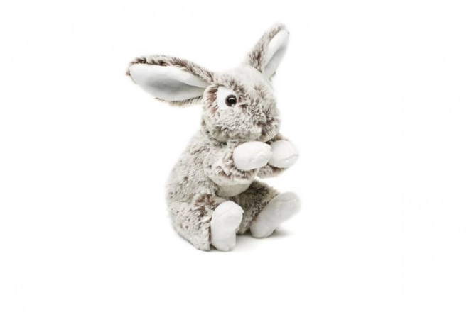 Plush Gray Rabbit