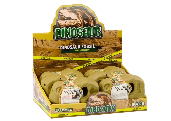 Dinosaur Archaeological Excavation Set with Fossils and Skull