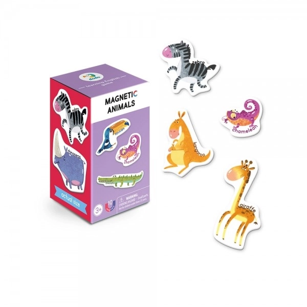 Magnetic Animal Game Set