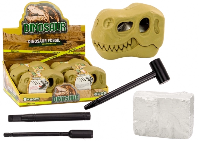 Dinosaur Archaeological Excavation Set with Fossils and Skull