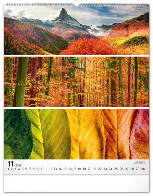 Wall Calendar Palette 2025