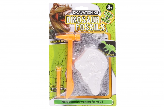 Dinosaur Excavation Kit