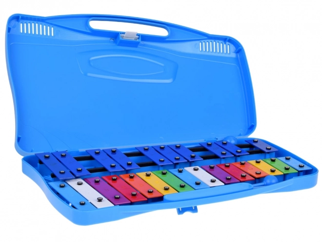 Chromatic Metal Xylophone for Children