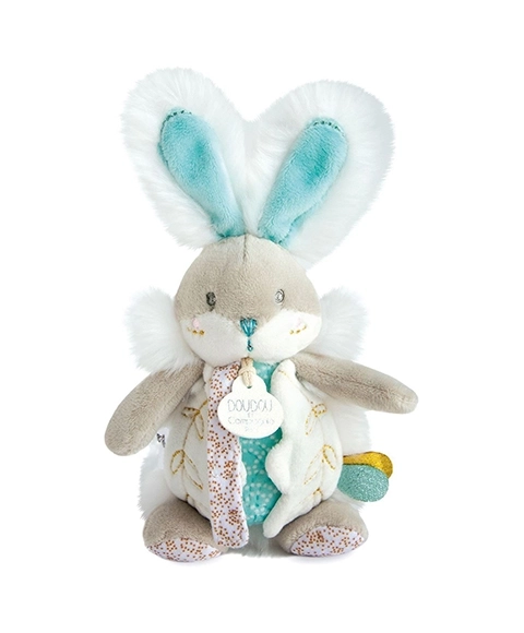 Plush Bunny with Rattle and Pacifier Holder