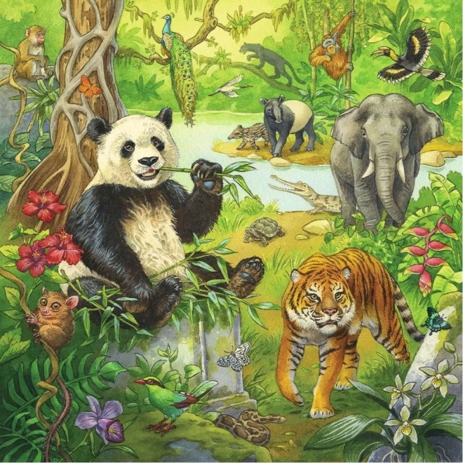 Jungle Animals Puzzle Set