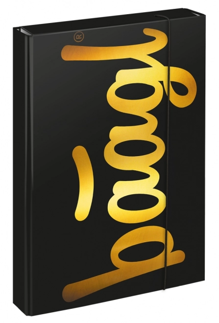 Baagl A4 Jumbo Gold School Notebook Folder