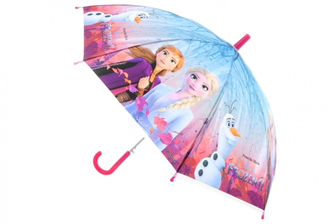 Automatic Frozen Umbrella