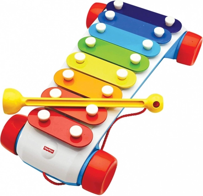 Xilofono Trainabile Divertente FP