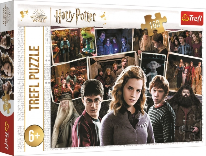 Trefl Puzzle Harry Potter with Friends 160 Pieces