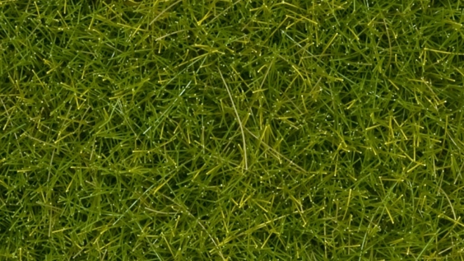 Statična trava Noch divja svetlo zelena 12 mm