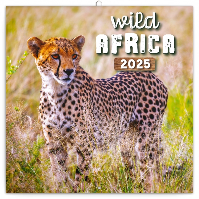 Notique Wild Africa 2025 Calendar