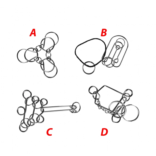 Metal Brain Teaser Puzzle