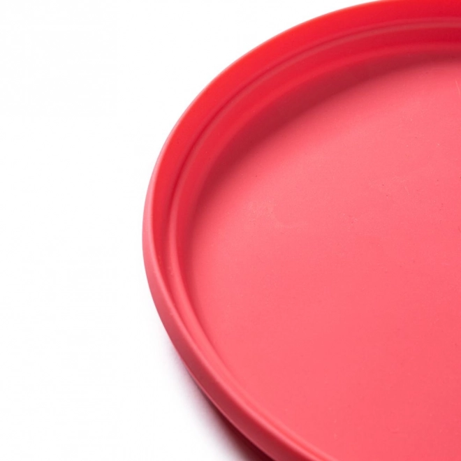 Bigjigs Toys Pink Coral Frisbee