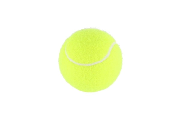 Recreational Tennis Balls