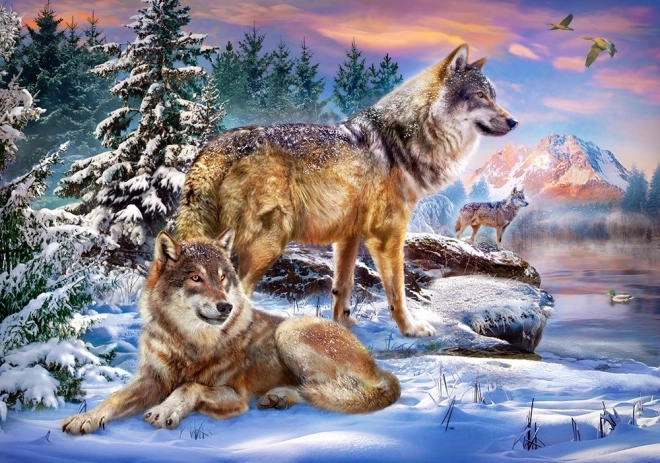 Castorland Wolf Land Puzzle 500 Pieces