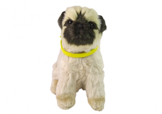 Interactive Plush Pug Dog