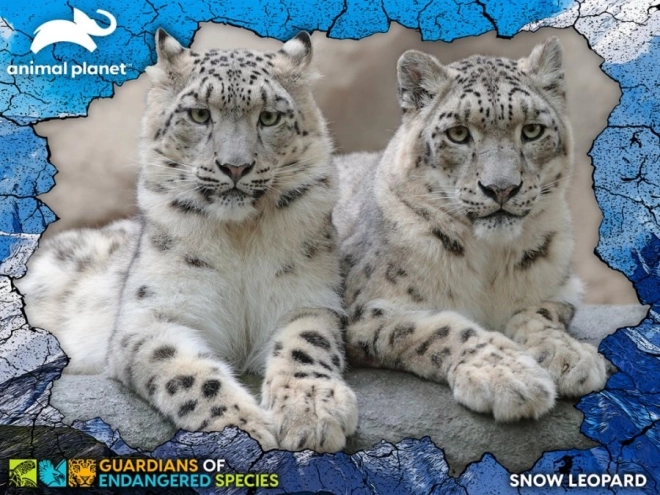 Animal Planet Endangered Species Snow Leopards 3D Puzzle