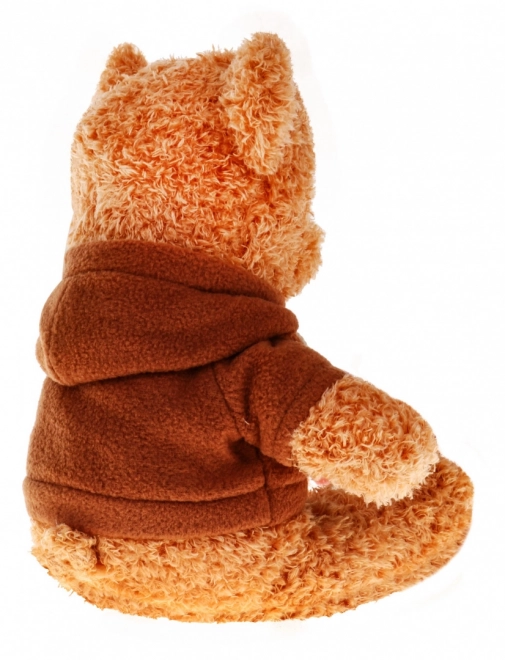 Plush Bear in Hoodie for Kids 3+