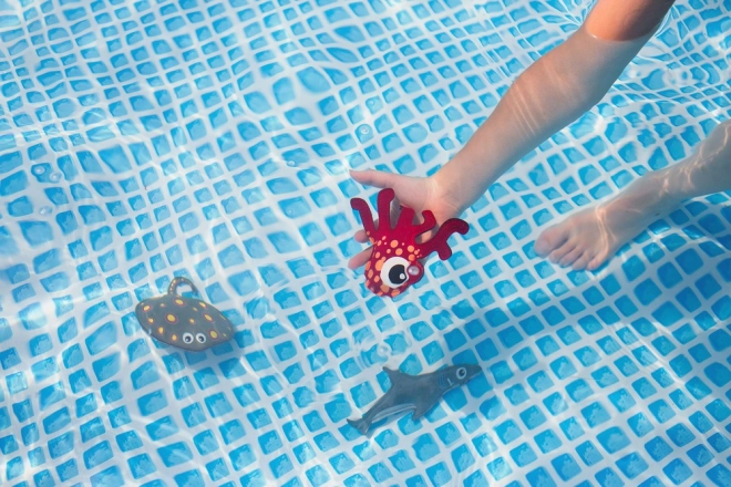 Marine Animals for Young Divers - Water Game