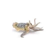 Common Cuttlefish Figurine