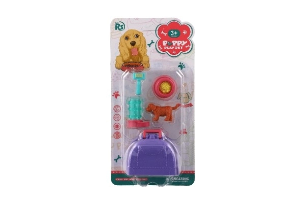 Pet Dog With Portable Plastic Box And Accessories