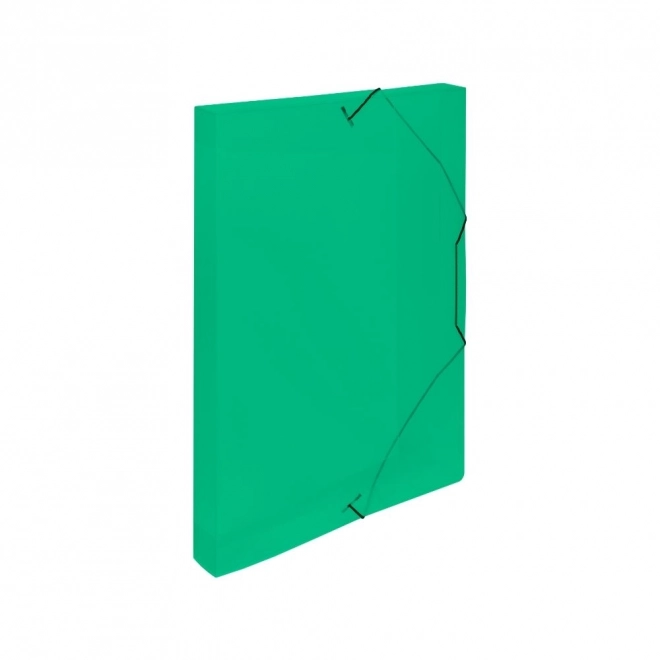 Green A4 Document Storage Box with Elastic Band