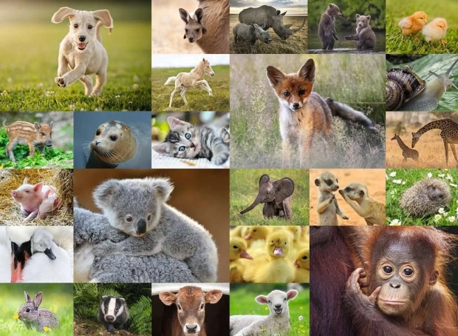 Animal Baby Collage Puzzle